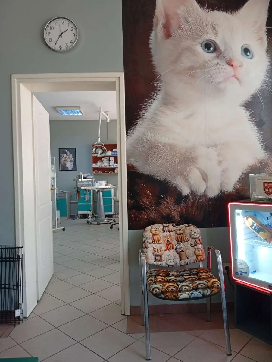 Čekaonica i pogled ka prostoru ambulante Animal