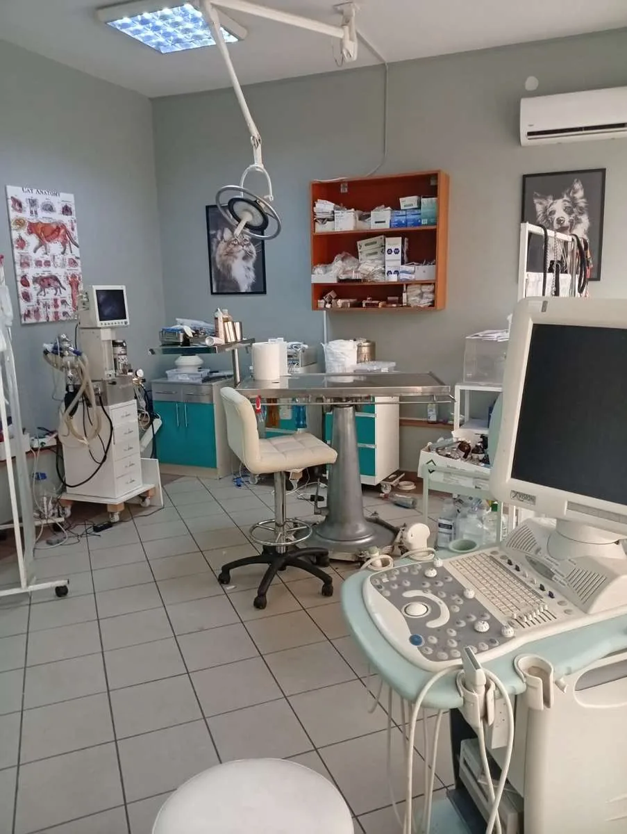 Pregledna ordinacija sa ultrazvučnim aparatom u ambulanti Animal
