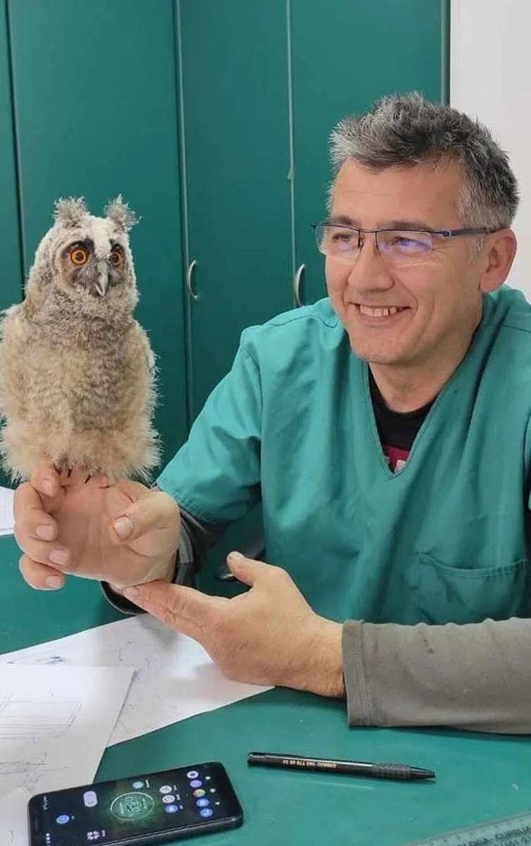 Veterinar u ambulanti sa sovom